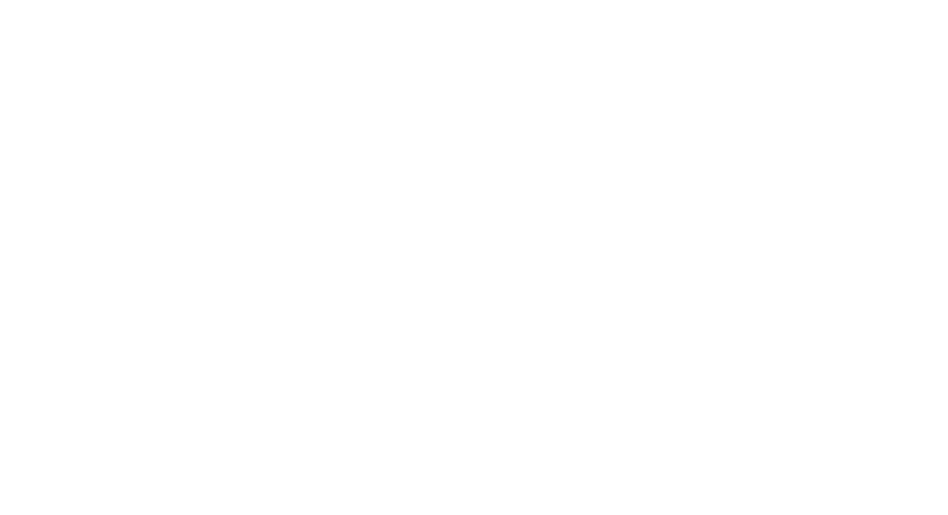 ROAR Digital Agency